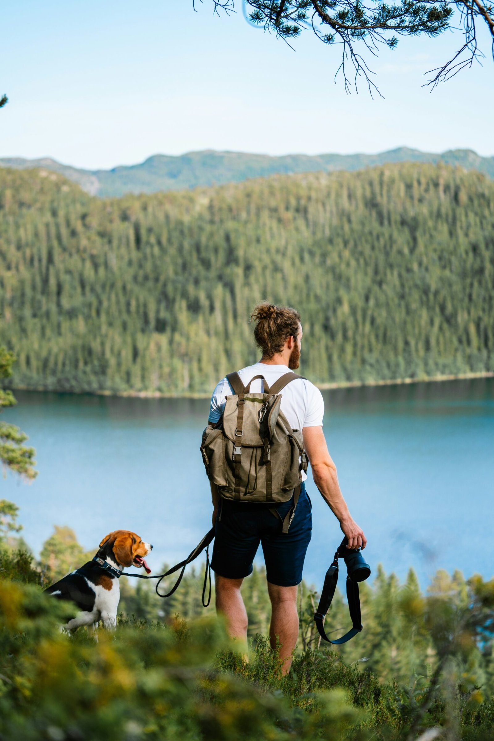 The Ultimate Guide to Hiking with Dogs: Safety, Etiquette, and Gear