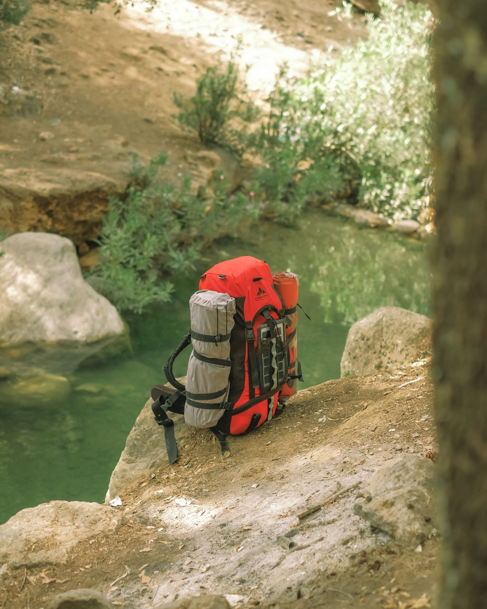 How to Choose the Perfect Hiking Backpack