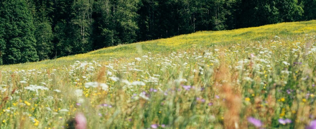 How to Choose the Best Time for Your Next Hike