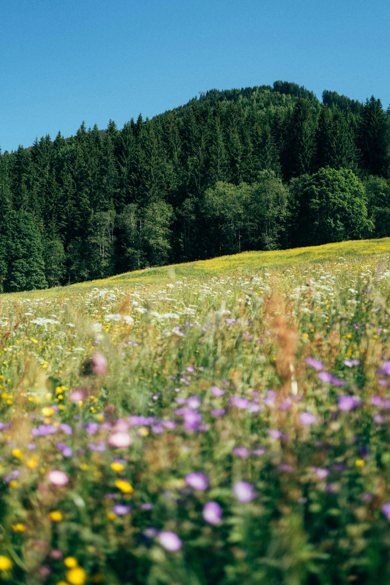How to Choose the Best Time for Your Next Hike