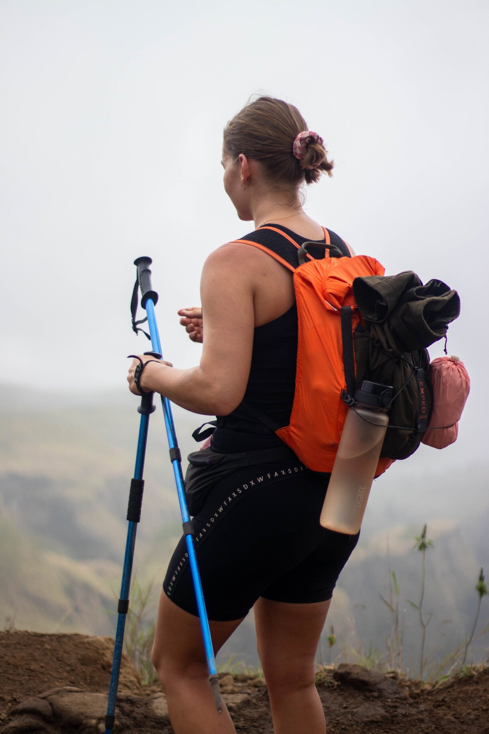 A pair of trekking poles.