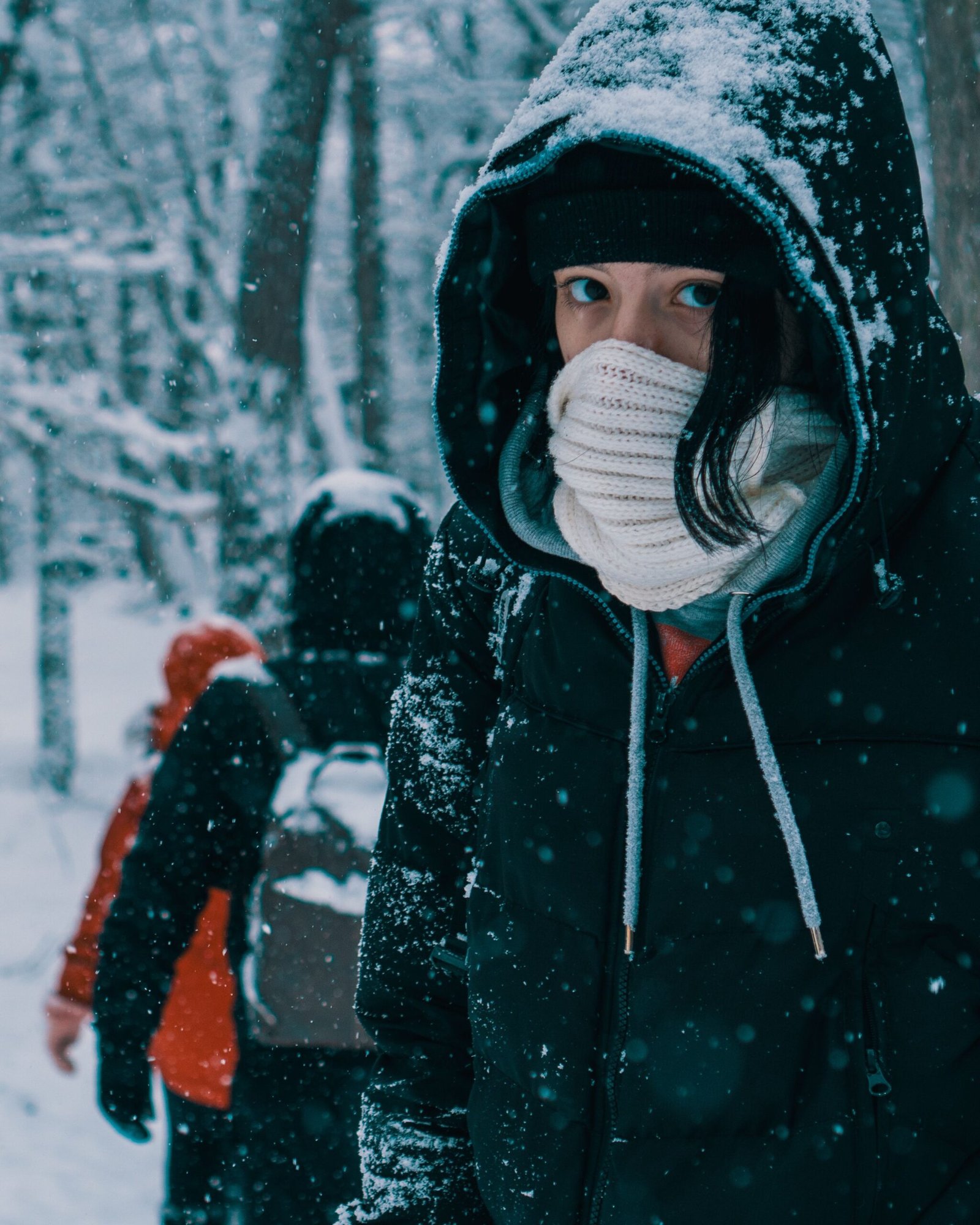 Winter Hiking Essentials: Staying Warm and Safe